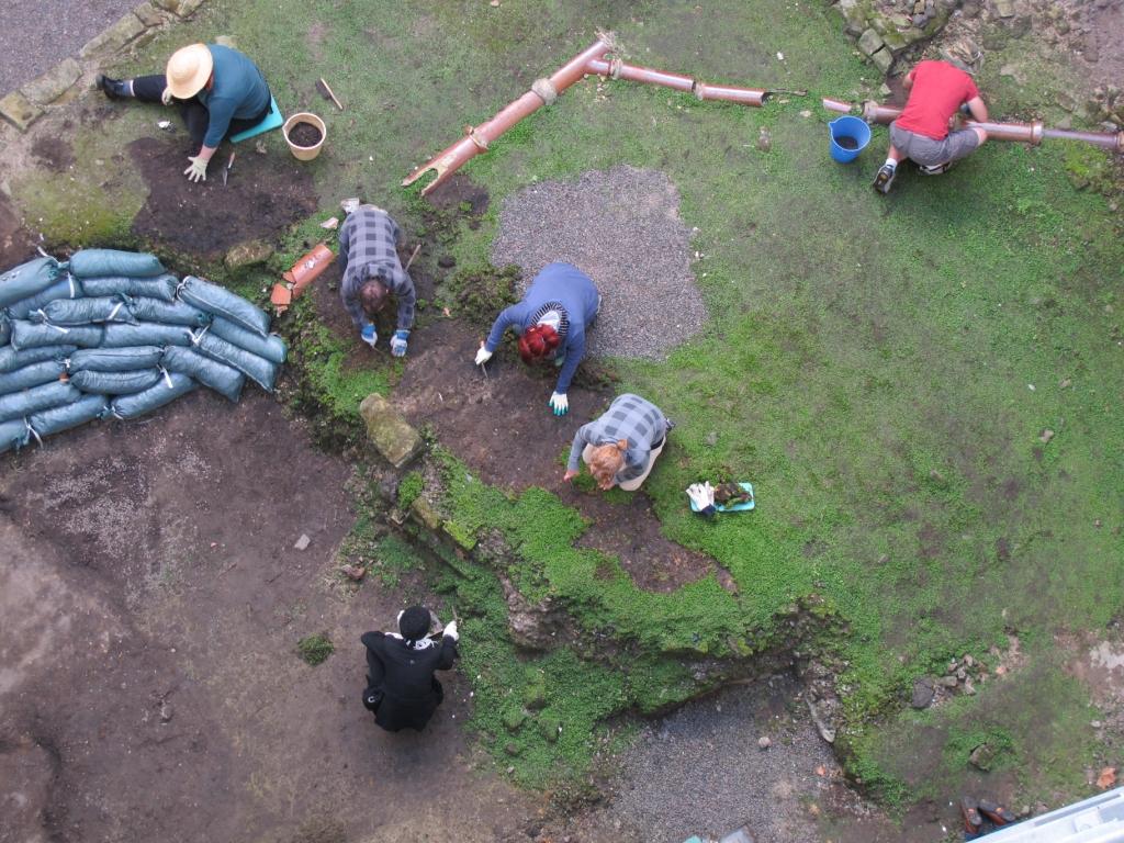 Big Dig 2011