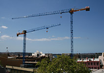 cranes.jpg